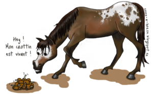 Facile mesure cheval ou poney weight bande essentiel pour dosage précis de vermifuges 