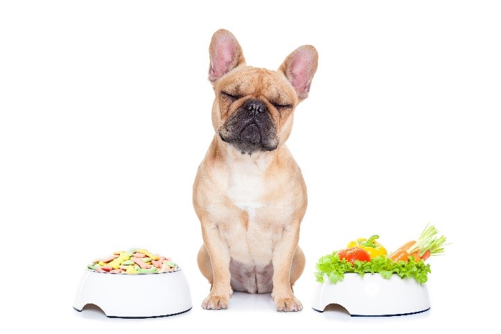 L’alimentation canine : vérités et idées reçues